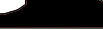 W3C logo
